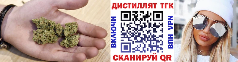 где продают наркотики Опочка Дистиллят ТГК THC oil
