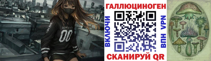 как найти закладки  Опочка  Галлюциногенные грибы Psilocybe 